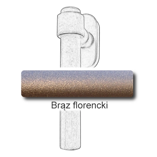 15Brąz florencki.png