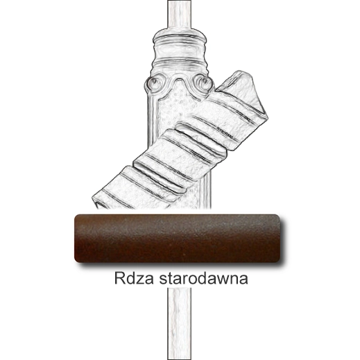 Rdza starodawna