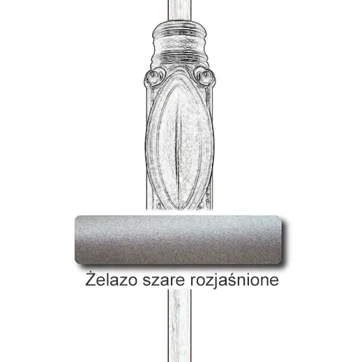 4Żelazo szare rozjaśnione.webp