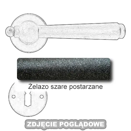 3ZSP.webp