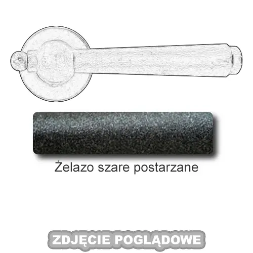 3ZSP.webp