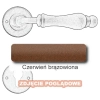 10 Czerwień brązowiona.webp