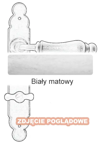 9Biały matowy.webp