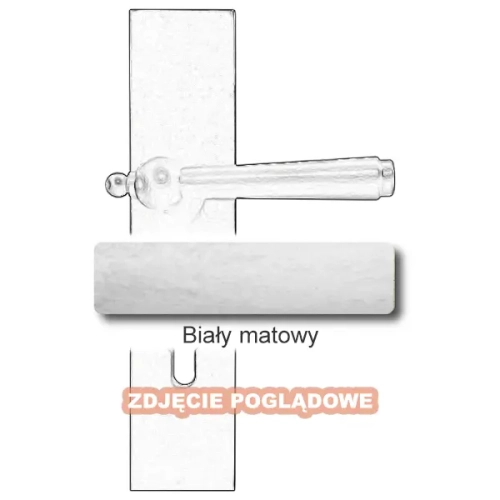 10Biały matowy.webp