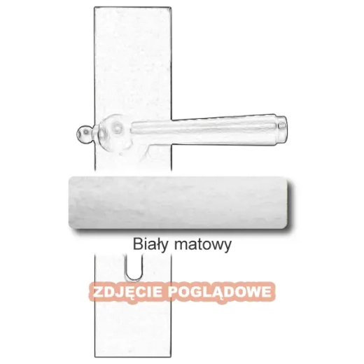 10Biały matowy.webp