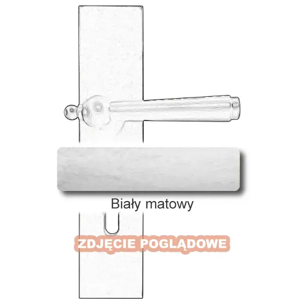 10Biały matowy.webp