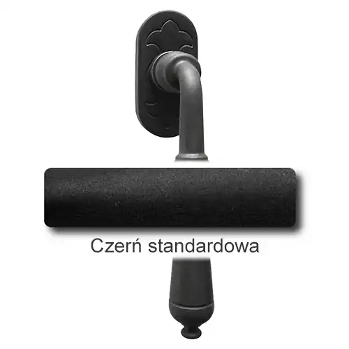 1Czerń standardowa.webp