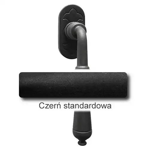 1Czerń standardowa.webp