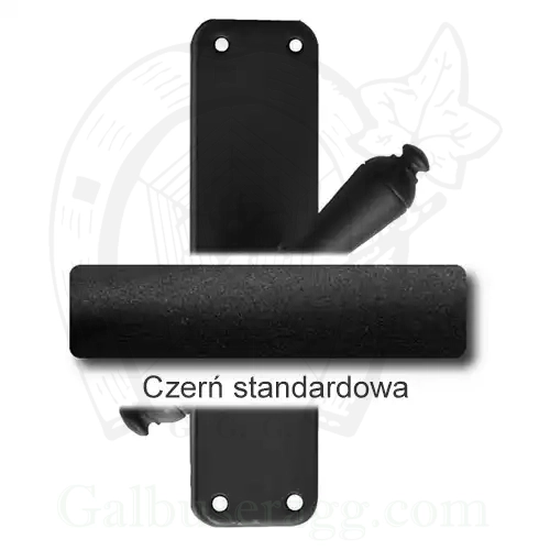1Czerń standardowa.webp
