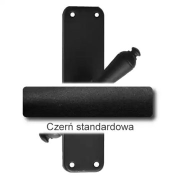 1Czerń standardowa.webp