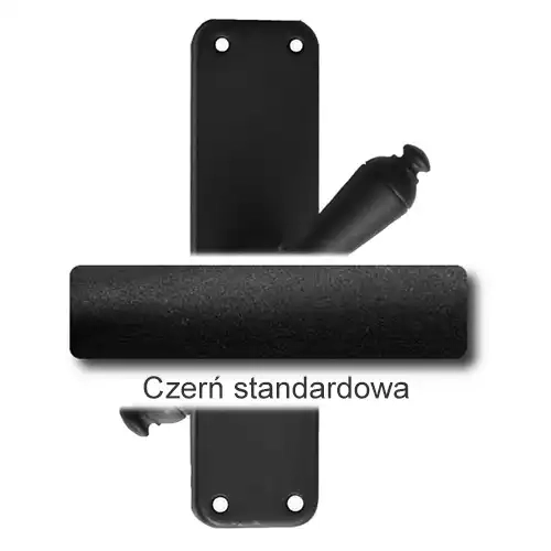 1Czerń standardowa.webp