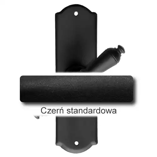 1Czerń standardowa.webp