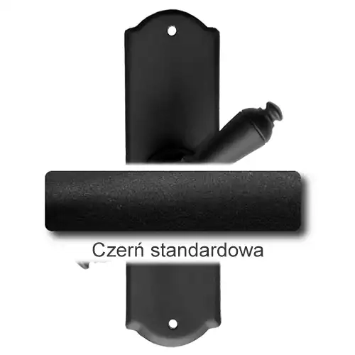 1Czerń standardowa.webp