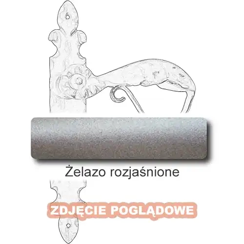 5Żelazo rozjaśnione.webp