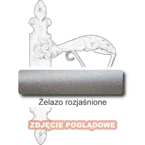 5Żelazo rozjaśnione.webp