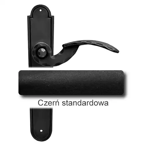 1Czerń standardowa.webp