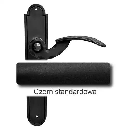 1Czerń standardowa.webp