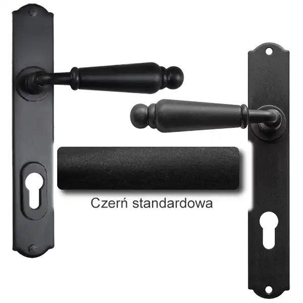1Czerń standardowa.webp