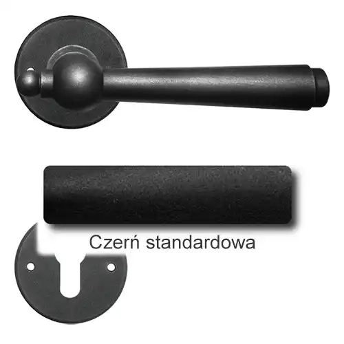 1Czerń standardowa.webp