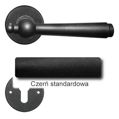 1Czerń standardowa.webp