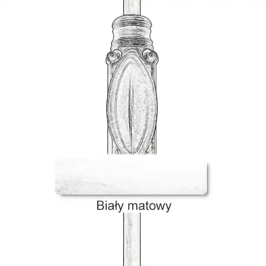13Biały matowy.webp