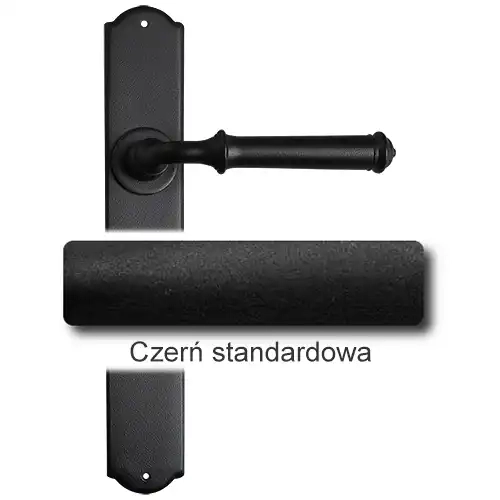 1Czerń standardowa.webp