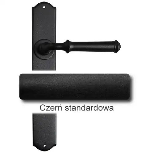 1Czerń standardowa.webp