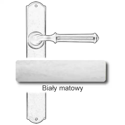 10Biały matowy.webp