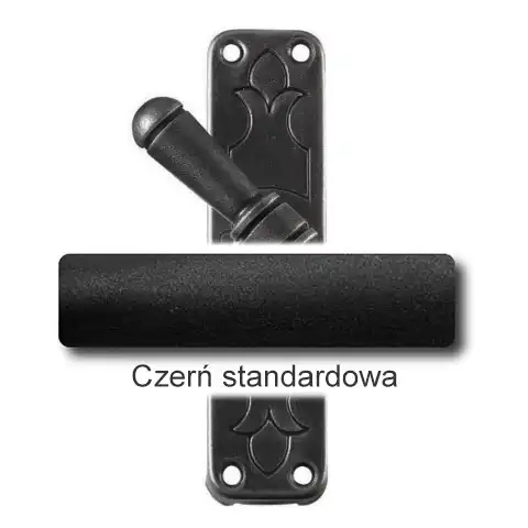 1Czerń standardowa.webp