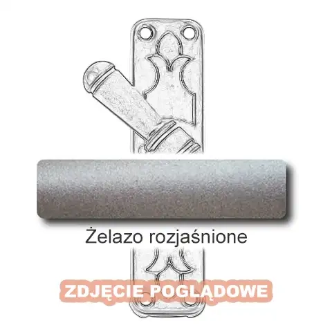 5Żelazo rozjaśnione.webp
