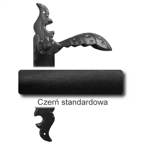 1Czerń standardowa.webp