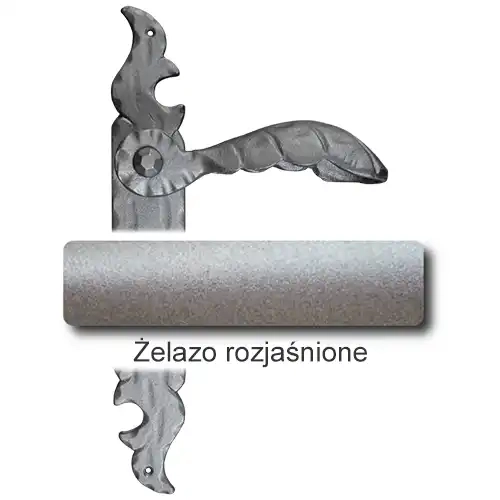 5Żelazo rozjaśnione.webp