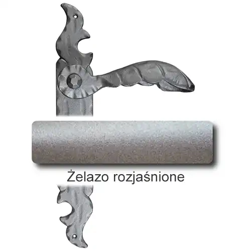 5Żelazo rozjaśnione.webp
