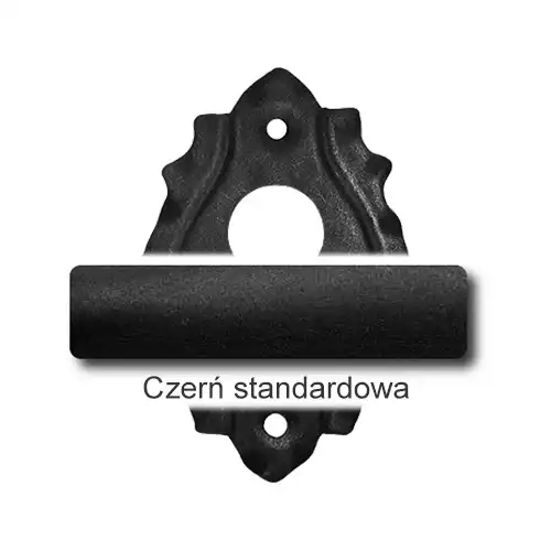 1Czerń standardowa.webp