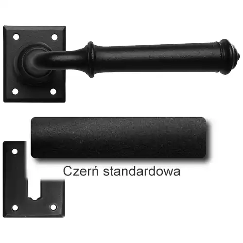 1Czerń standardowa.webp