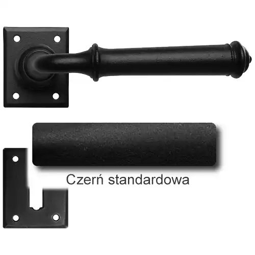 1Czerń standardowa.webp