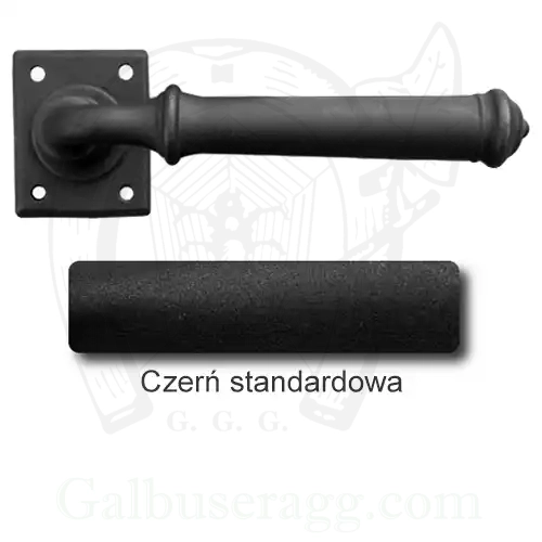 1Czerń standardowa.webp