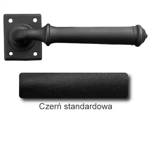 1Czerń standardowa.webp