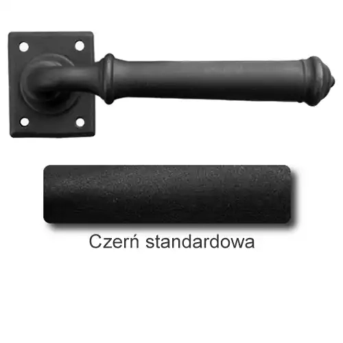1Czerń standardowa.webp