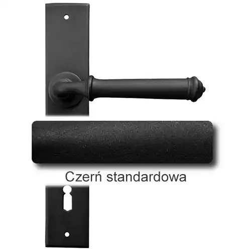 1Czerń standardowa.webp