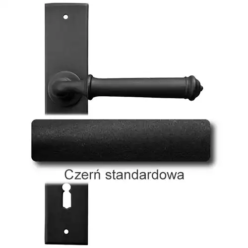 1Czerń standardowa.webp