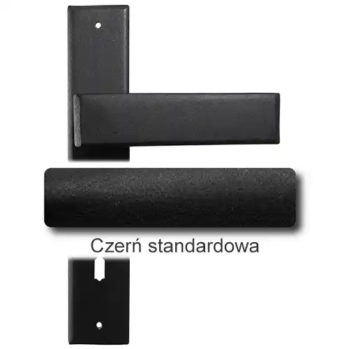 1Czerń standardowa.webp