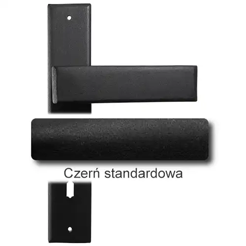 1Czerń standardowa.webp