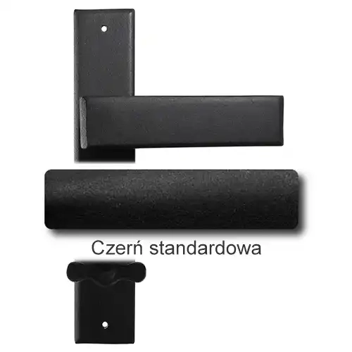 1Czerń standardowa.webp
