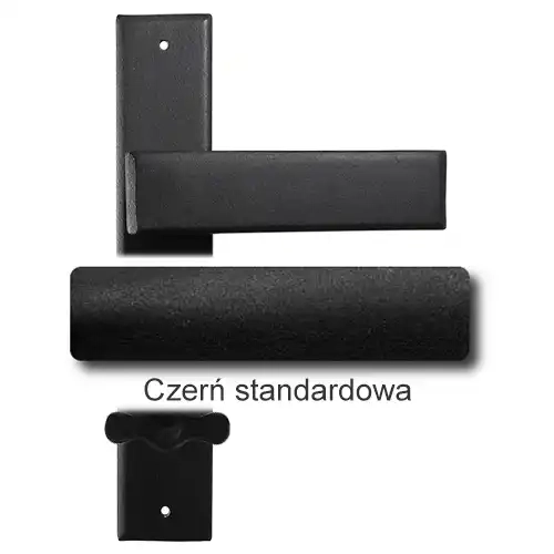 1Czerń standardowa.webp