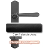 1Czerń standardowa.webp