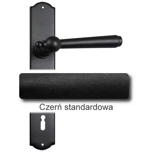 1Czerń standardowa.webp