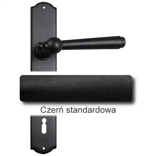 1Czerń standardowa.webp