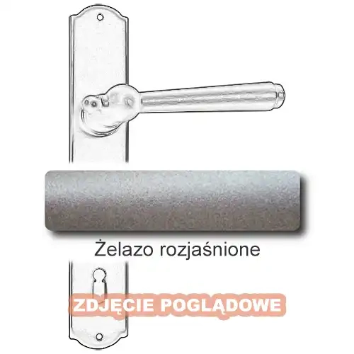 5Żelazo rozjaśnione.webp