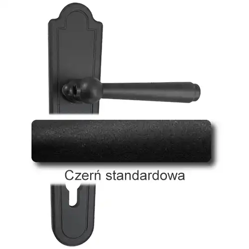 1Czerń standardowa.webp